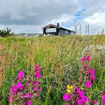 Seterhytte I Havsdalen *