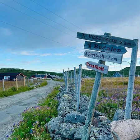 Seterhytte I Havsdalen *