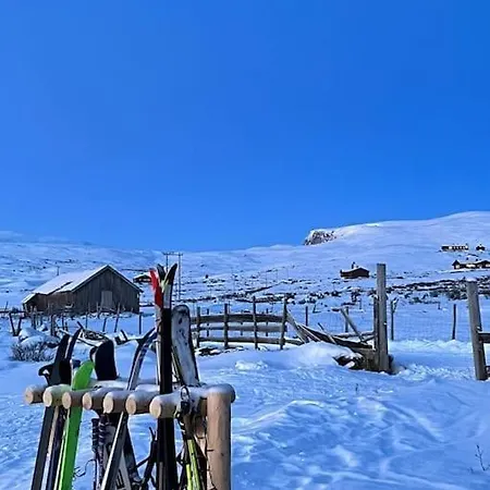 Hébergement de vacances Seterhytte I Havsdalen *