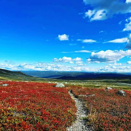 Hébergement de vacances Seterhytte I Havsdalen *
