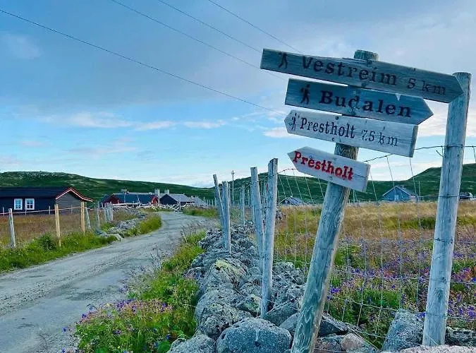 Seterhytte I Havsdalen *