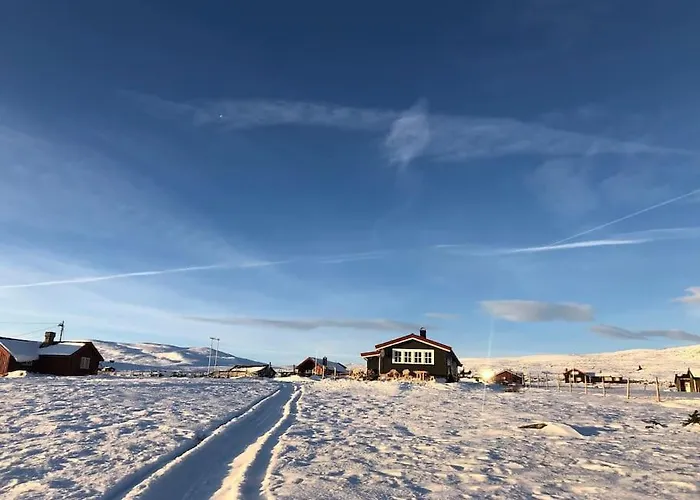 Seterhytte I Havsdalen Geilo