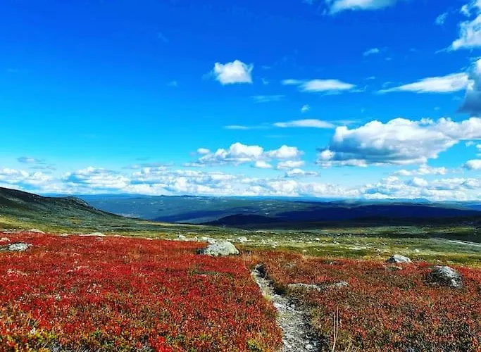 Ferienhaus Seterhytte I Havsdalen *