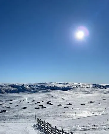Seterhytte I Havsdalen * Geilo