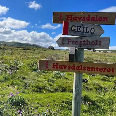 Seterhytte I Havsdalen يالو