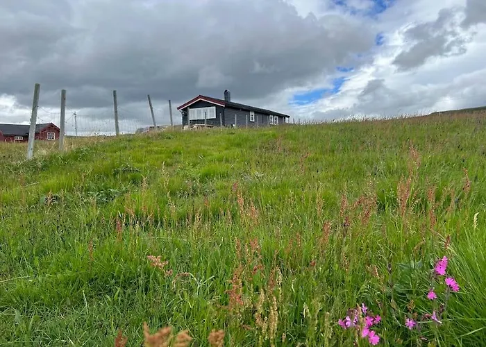 Vakantiehuis Seterhytte I Havsdalen