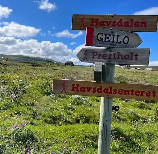 Seterhytte I Havsdalen Geilo