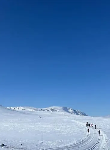 Seterhytte I Havsdalen *